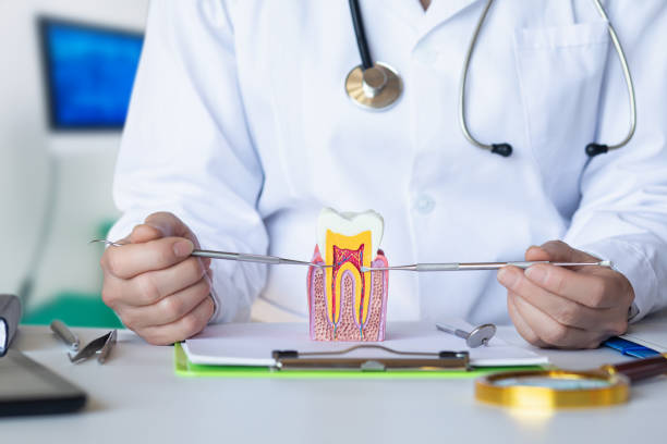 Best Root Canal Emergency Dentist  in Garnet, CA